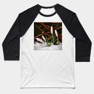 Crocus Baseball T-Shirt